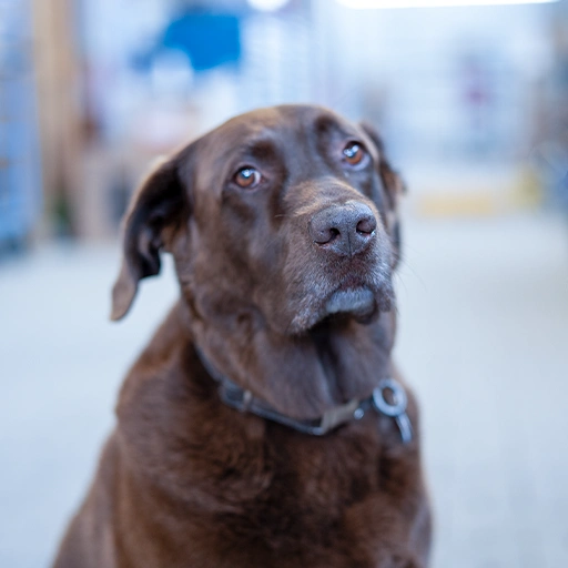 FBBau-Bauunternehmen-Galerie38